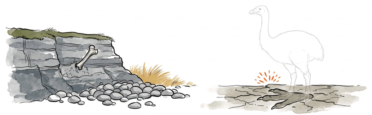 The bank, the bones and the stone heap, with a tall bird standing in the footprint as a faint pencil ghost.