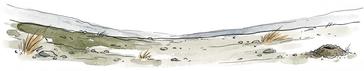 The ground around the empty hole, read slowly: tidy earth, no crumbs, no tracks.
